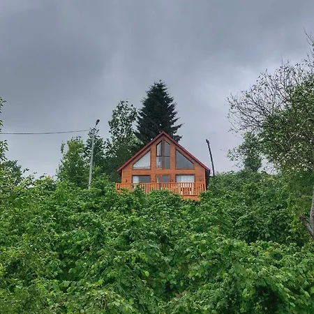 Bed & Breakfast Zivera Bungalov