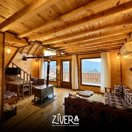 Zivera *